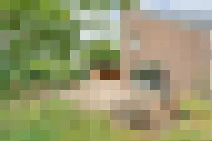 Merellaan 37 Nieuwleusen thumbnail 50