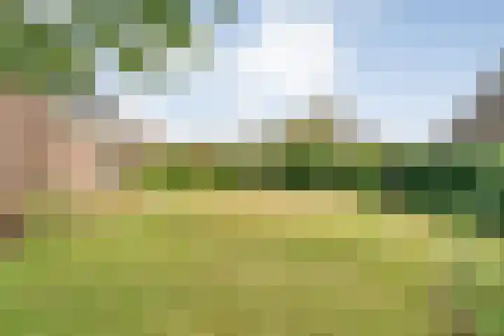 Merellaan 37 Nieuwleusen thumbnail 51