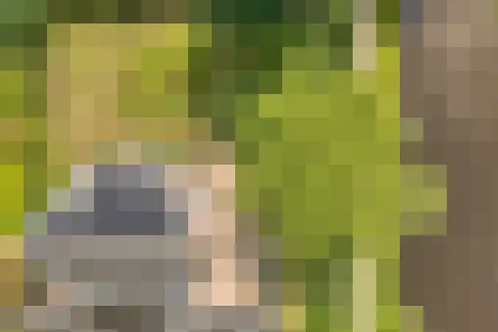 Merellaan 37 Nieuwleusen thumbnail 53