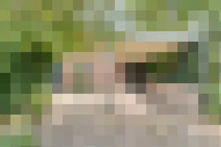 Merellaan 37 Nieuwleusen thumbnail 54
