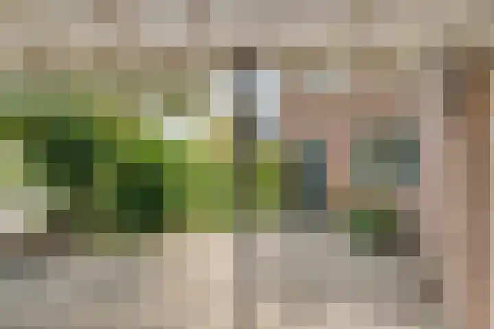Merellaan 37 Nieuwleusen thumbnail 55