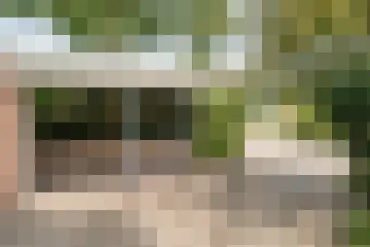 Merellaan 37 Nieuwleusen thumbnail 58