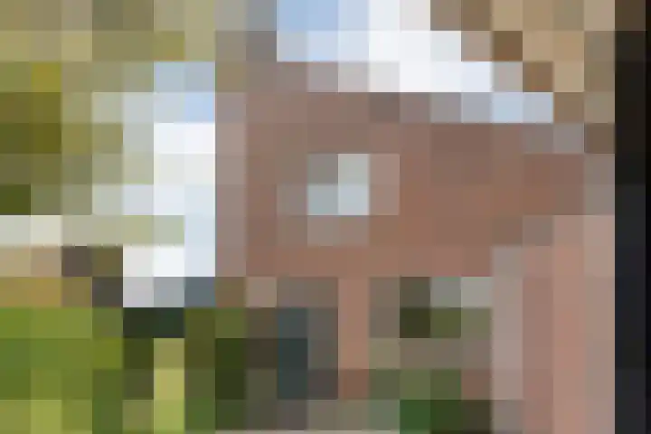 Merellaan 37 Nieuwleusen thumbnail 6