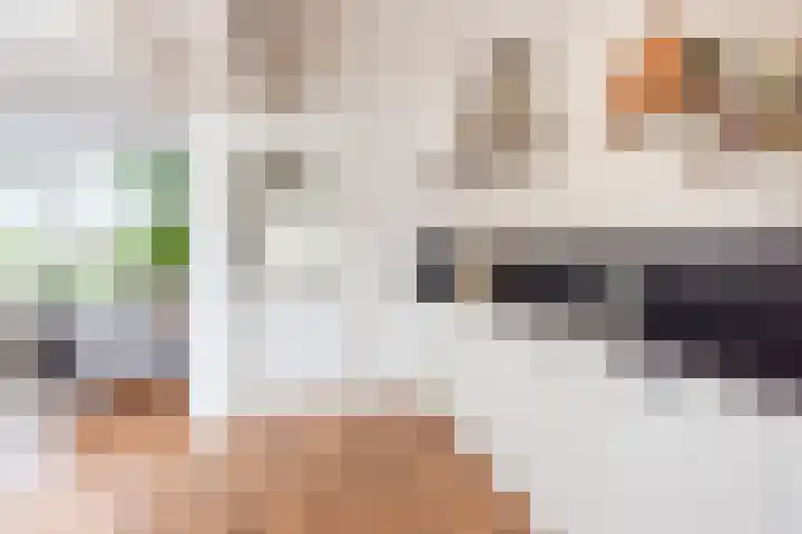 Merellaan 38 Ulft thumbnail 15