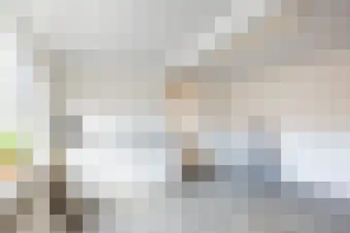 Merellaan 38 Ulft thumbnail 20