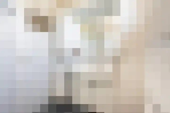 Merellaan 38 Ulft thumbnail 31