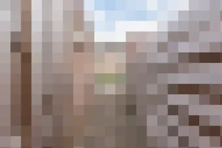 Merellaan 38 Ulft thumbnail 40