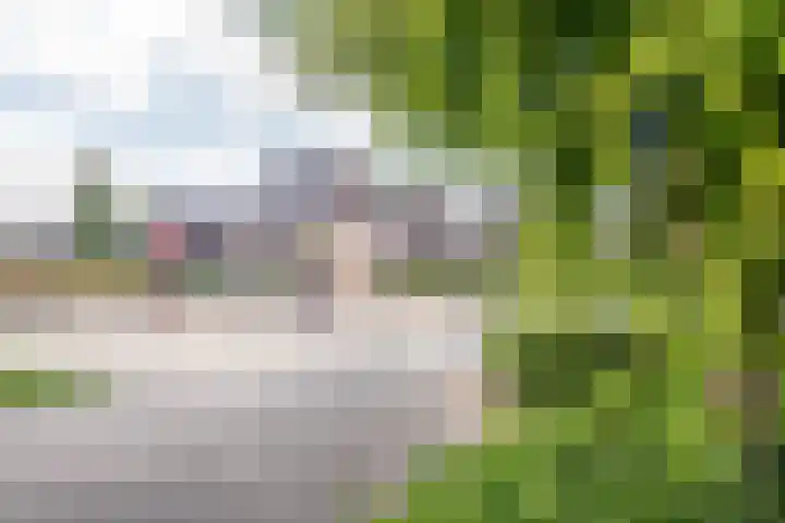 Merellaan 38 Ulft thumbnail 42