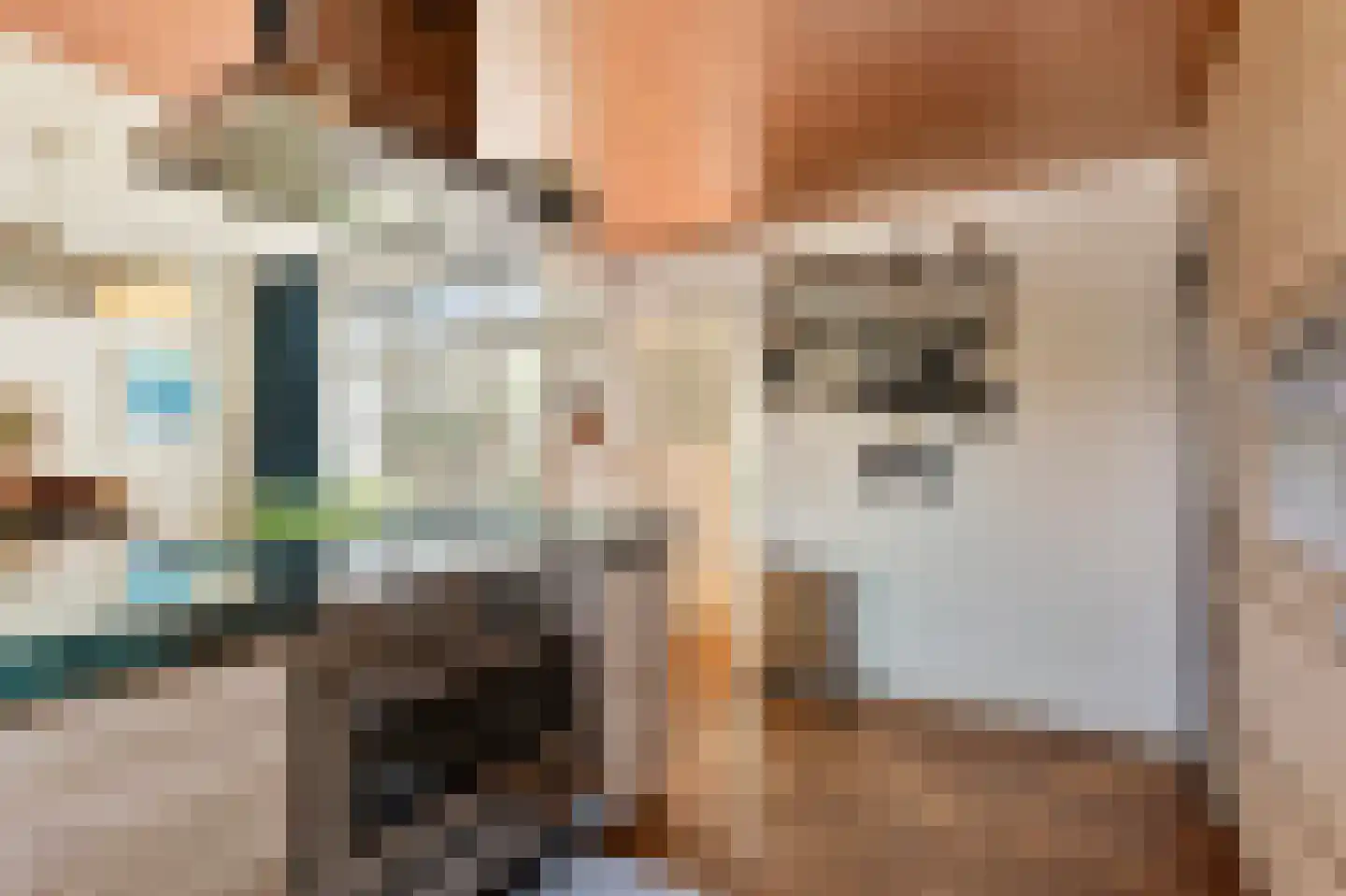 Merellaan 4 Den Haag thumbnail 19
