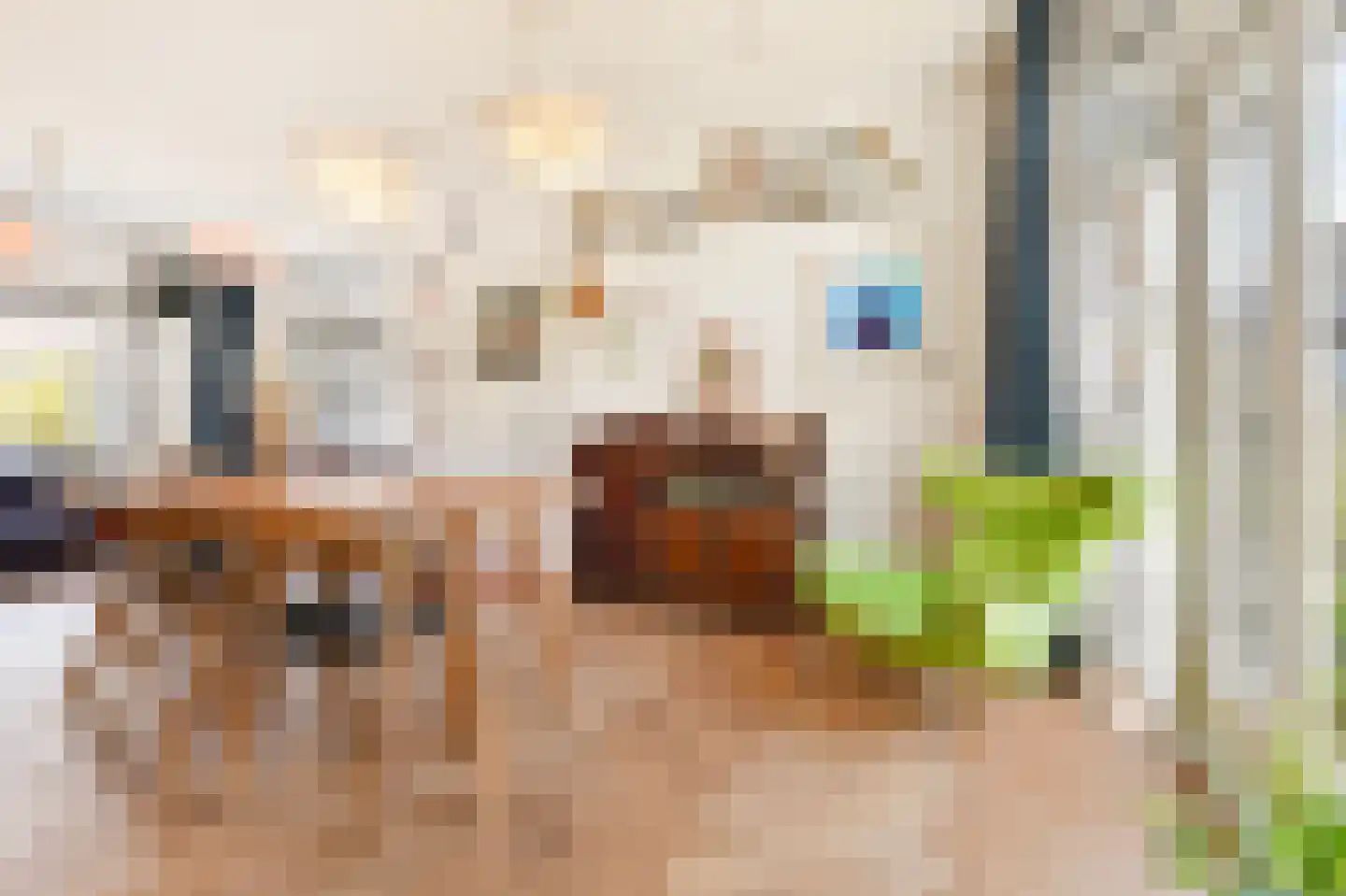 Merellaan 4 Den Haag thumbnail 20