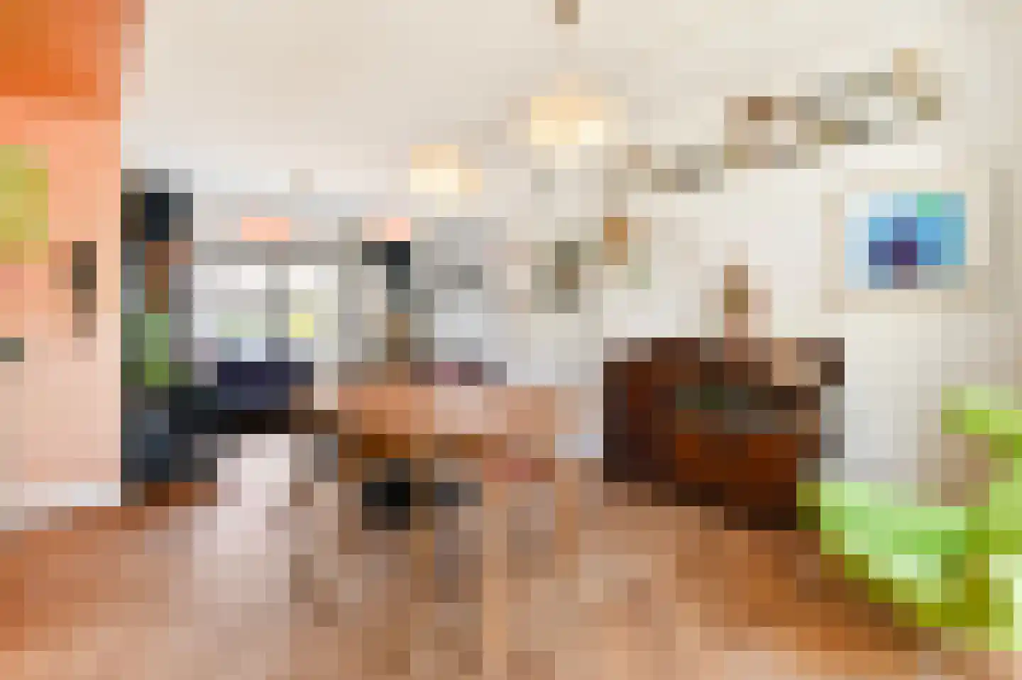 Merellaan 4 Den Haag thumbnail 21