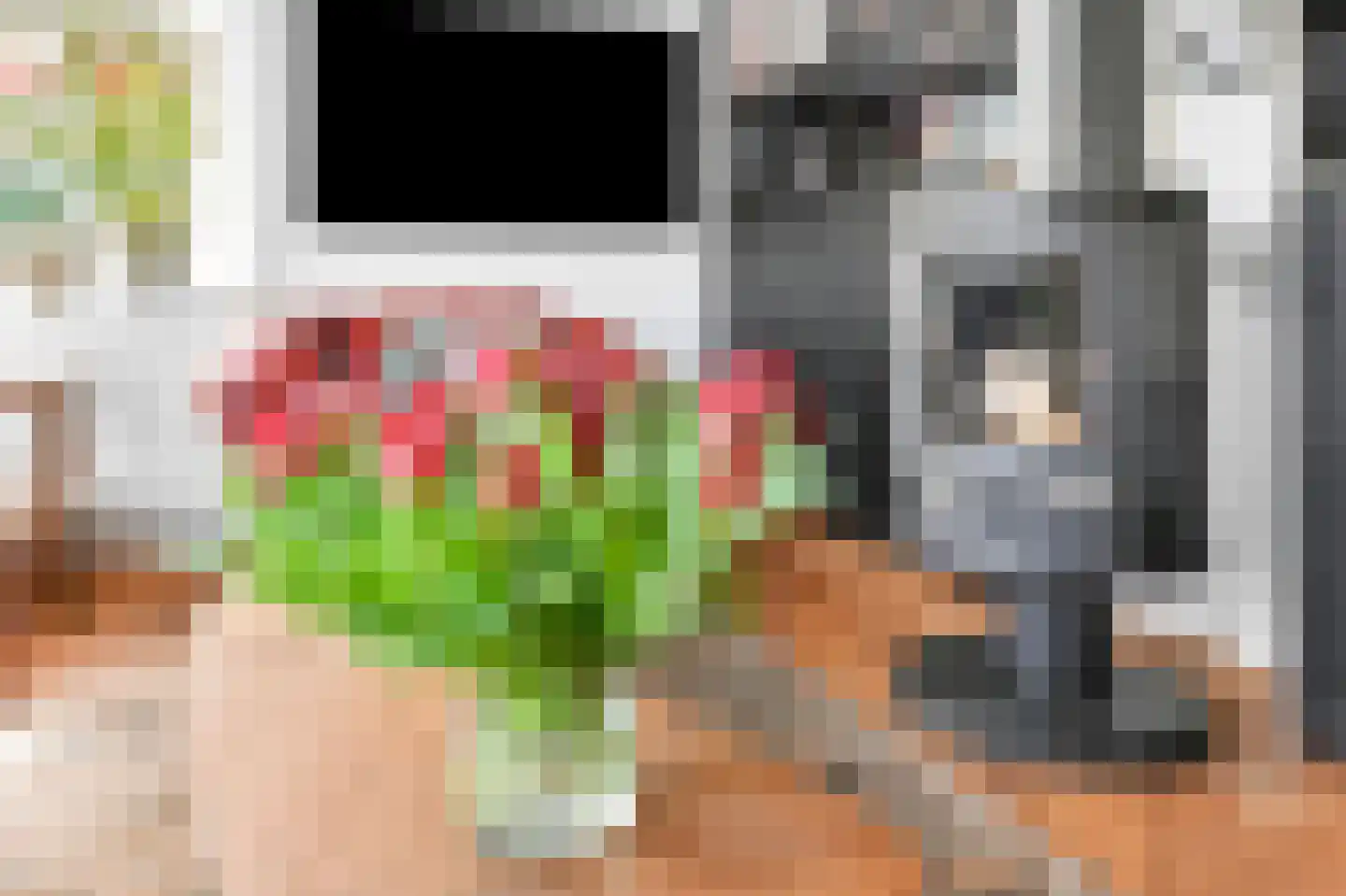 Merellaan 4 Den Haag thumbnail 27