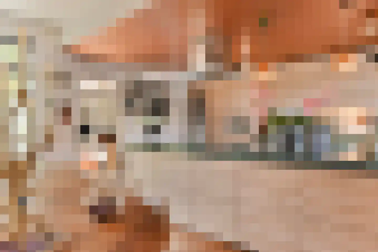 Merellaan 4 Den Haag thumbnail 31