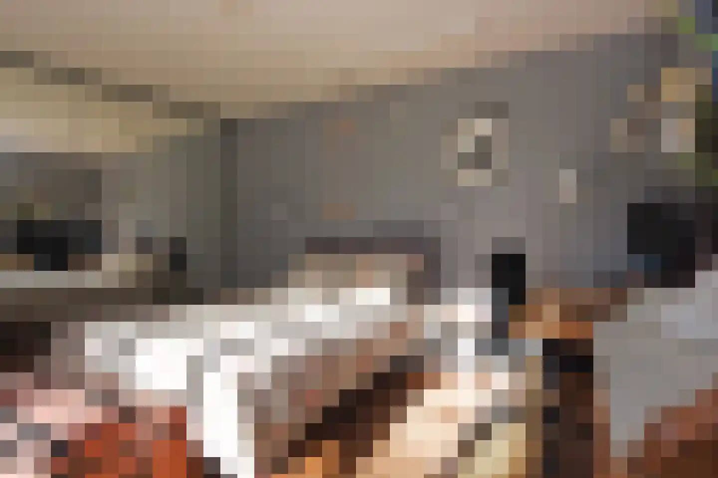 Merellaan 4 Den Haag thumbnail 41