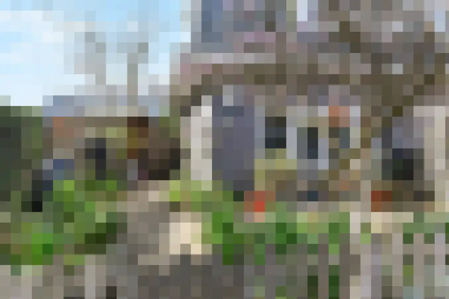 Merellaan 4 Den Haag thumbnail 5