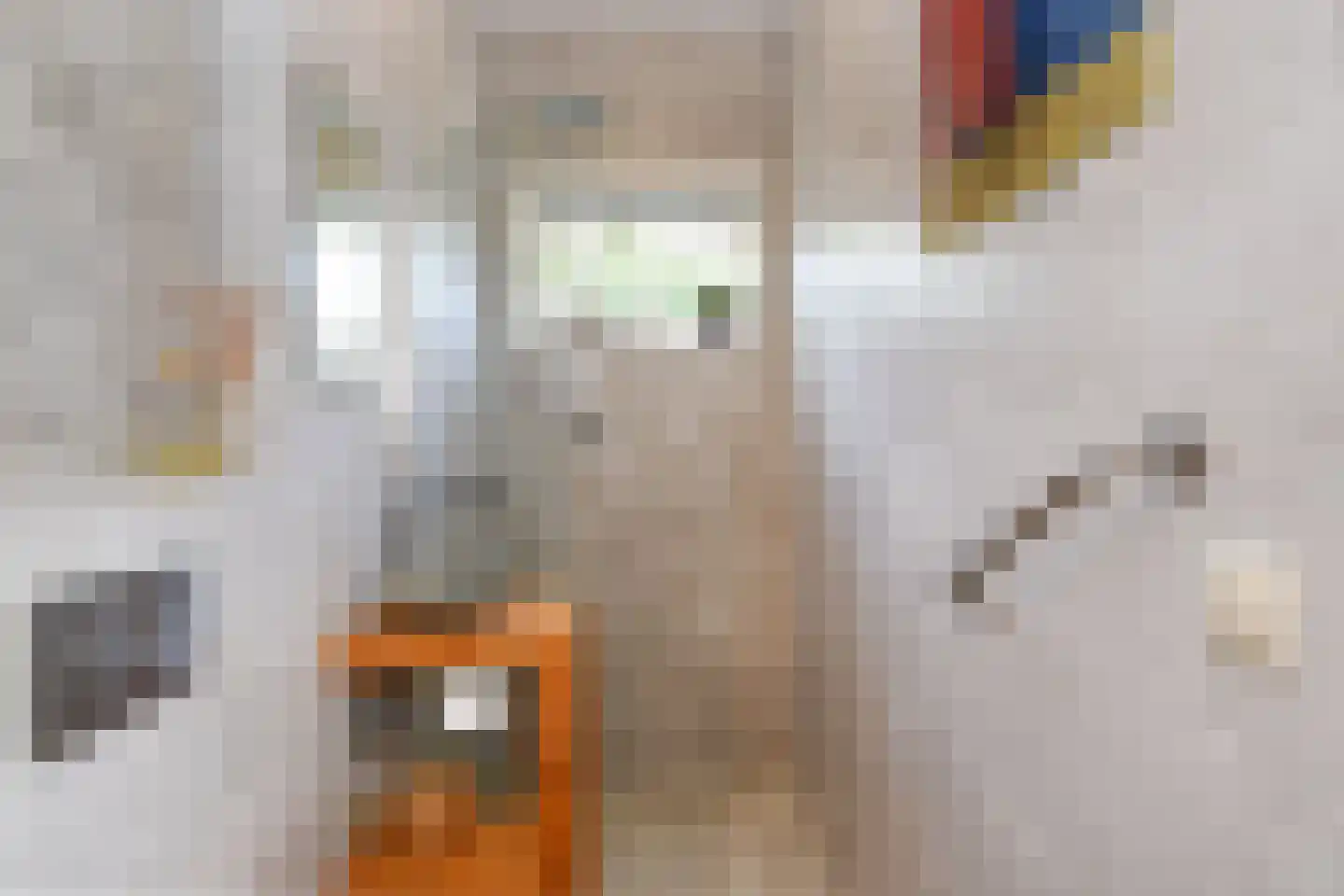 Merellaan 4 Den Haag thumbnail 50