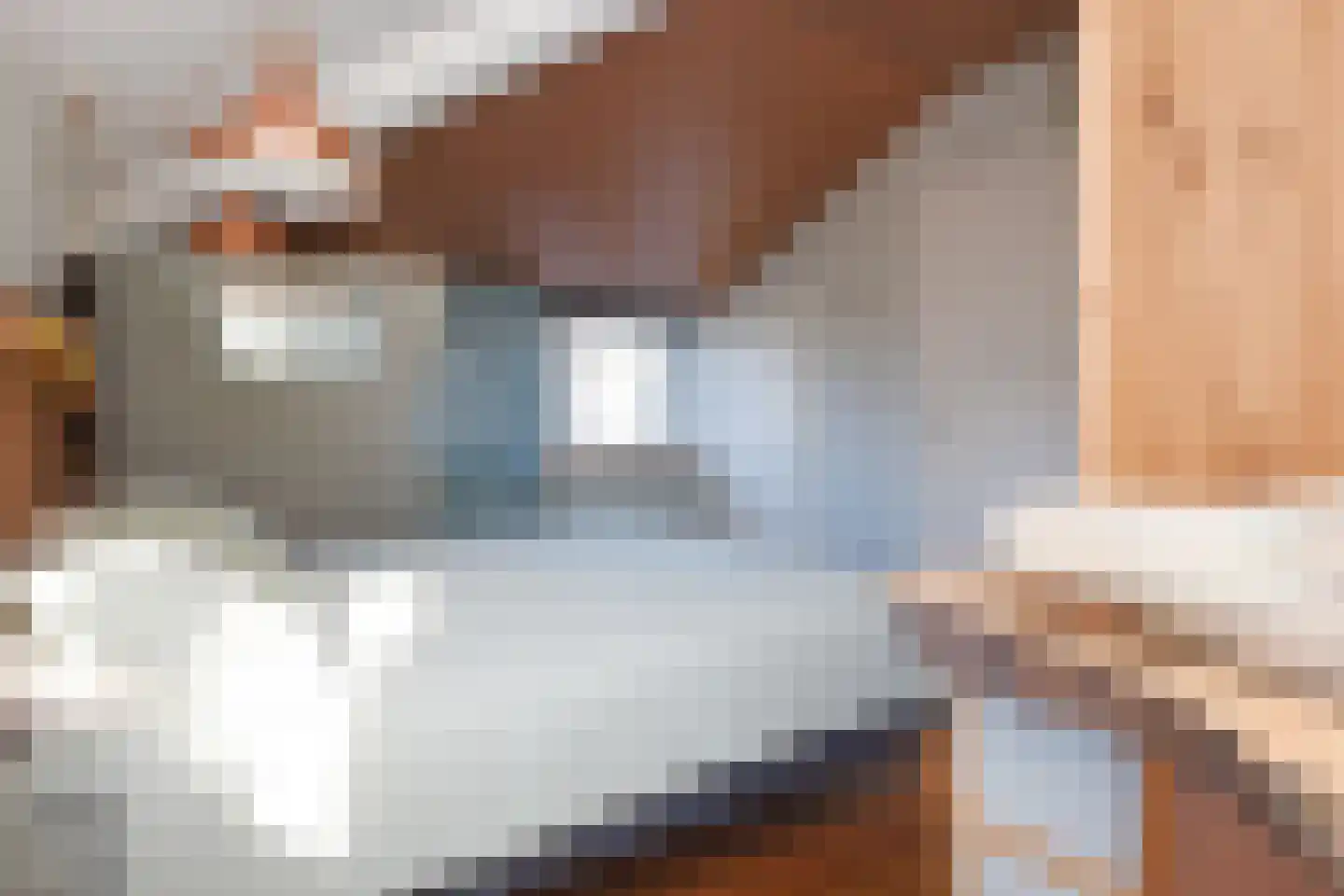 Merellaan 4 Den Haag thumbnail 55