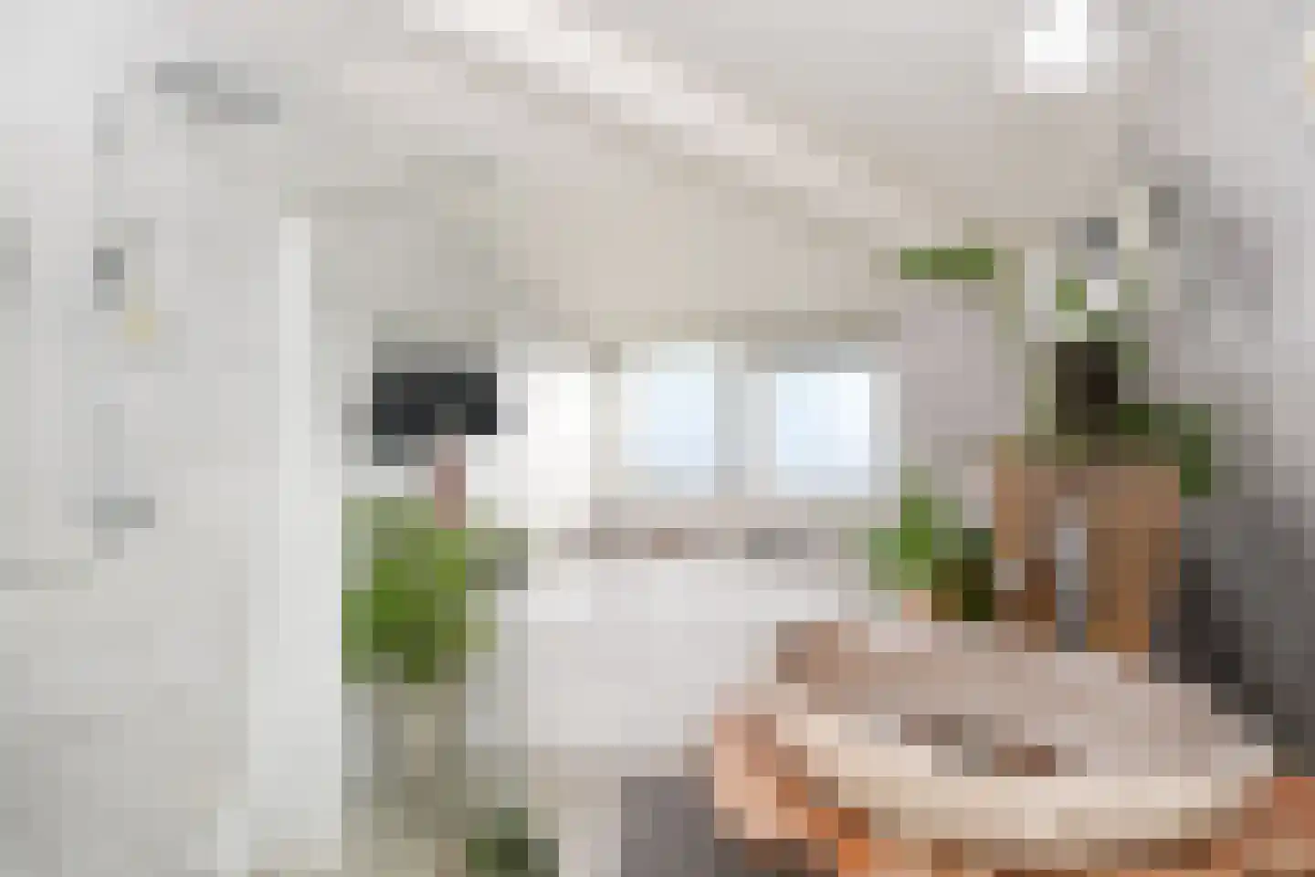 Merellaan 4 Den Haag thumbnail 57