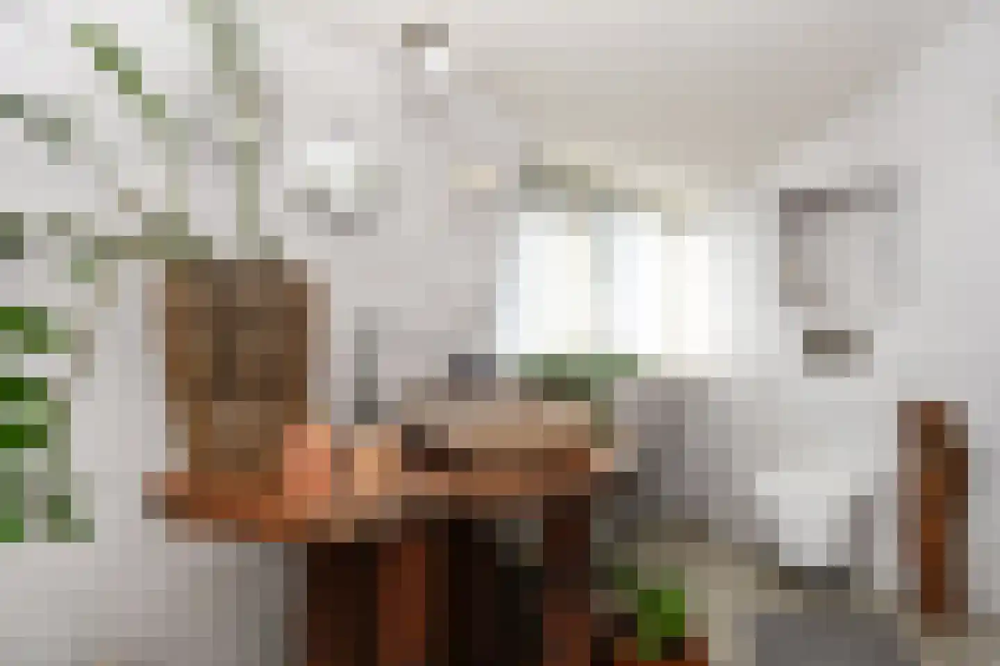 Merellaan 4 Den Haag thumbnail 60