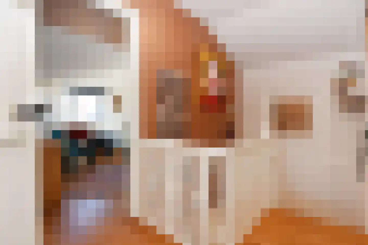Merellaan 4 Den Haag thumbnail 61