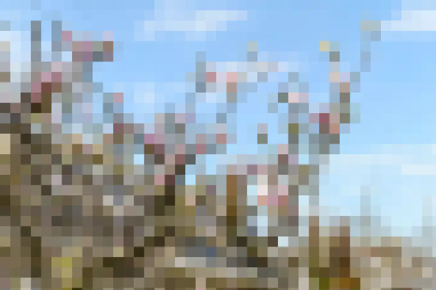 Merellaan 4 Den Haag thumbnail 7