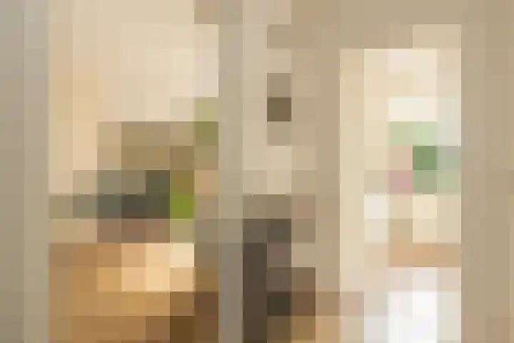 Merellaan 4 Sassenheim thumbnail 11