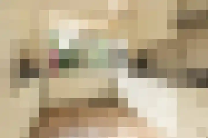 Merellaan 4 Sassenheim thumbnail 12