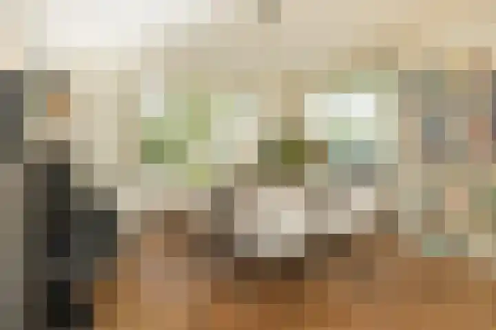 Merellaan 4 Sassenheim thumbnail 14