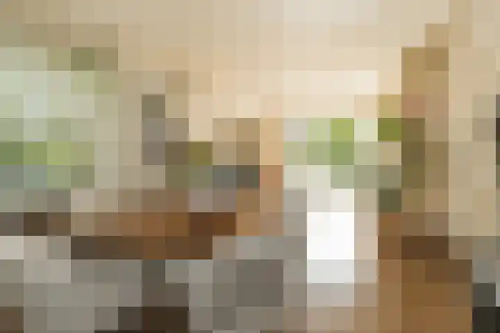 Merellaan 4 Sassenheim thumbnail 15