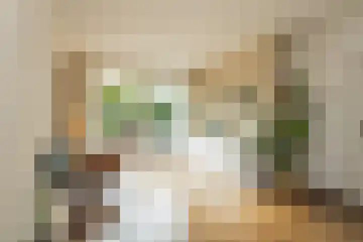 Merellaan 4 Sassenheim thumbnail 17