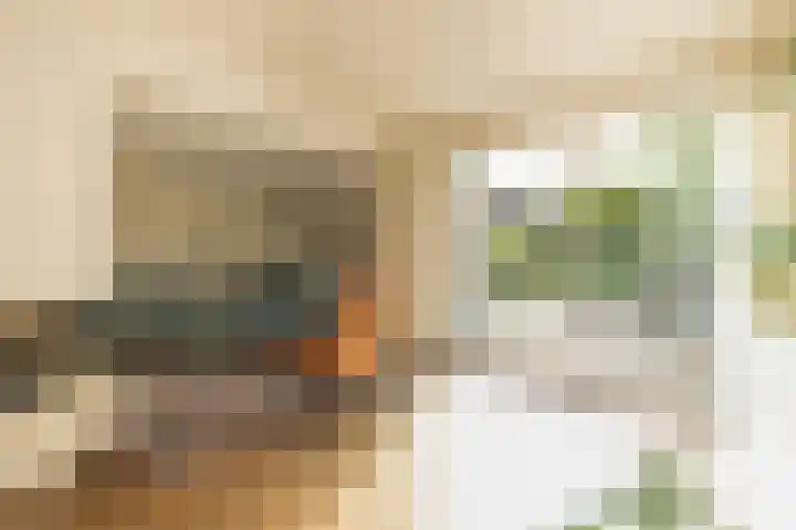 Merellaan 4 Sassenheim thumbnail 18