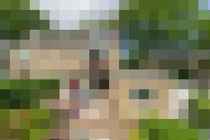 Merellaan 4 Sassenheim thumbnail 21