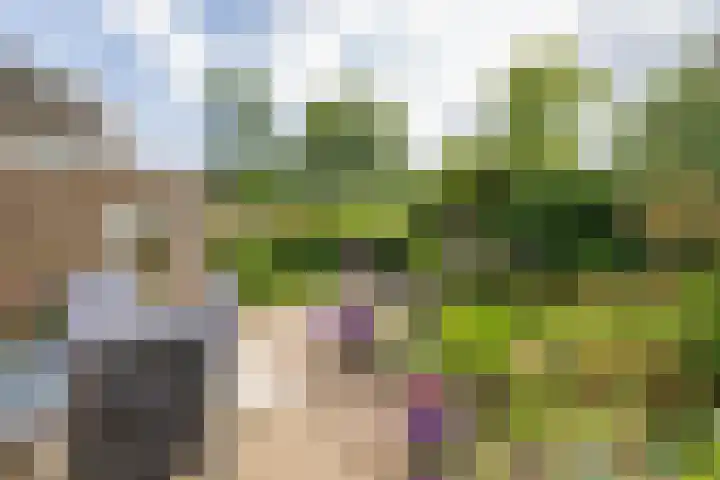 Merellaan 4 Sassenheim thumbnail 23