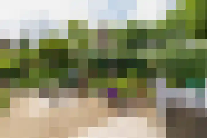 Merellaan 4 Sassenheim thumbnail 24