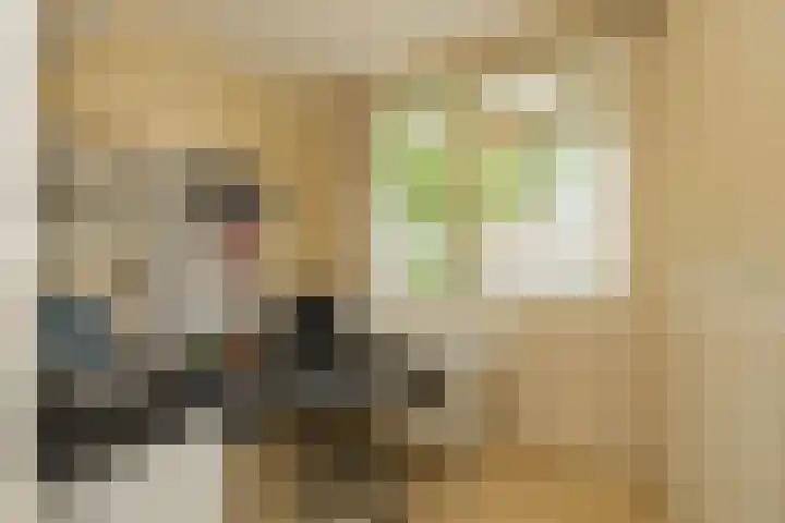 Merellaan 4 Sassenheim thumbnail 25