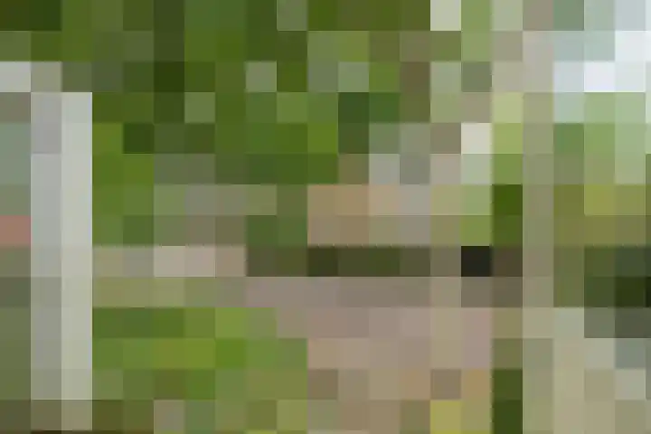 Merellaan 4 Sassenheim thumbnail 26