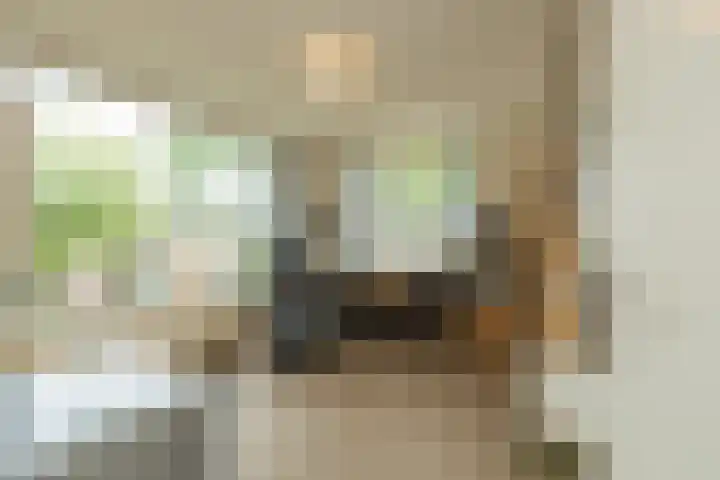 Merellaan 4 Sassenheim thumbnail 27