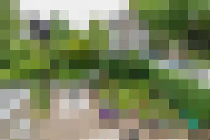 Merellaan 4 Sassenheim thumbnail 38