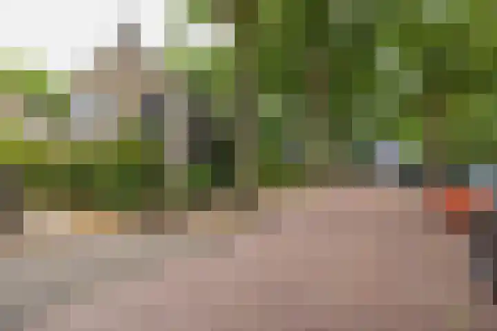 Merellaan 4 Sassenheim thumbnail 39