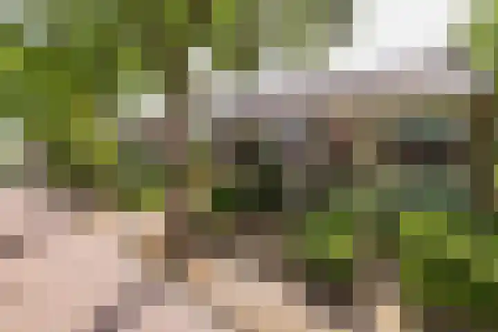 Merellaan 4 Sassenheim thumbnail 5