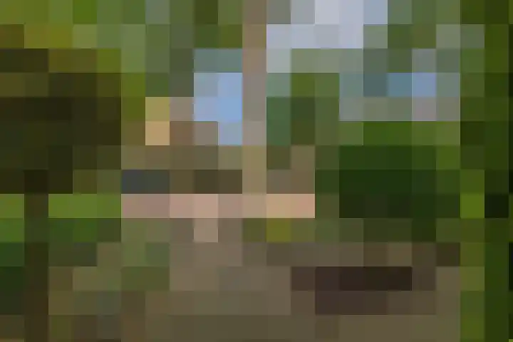 Merellaan 4 Sassenheim thumbnail 7