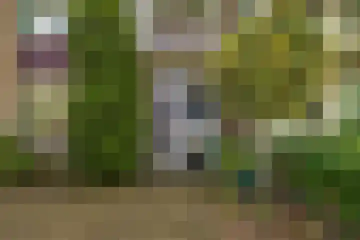 Merellaan 4 Sassenheim thumbnail 8