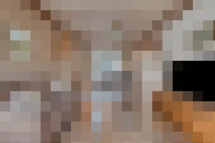 Merellaan 40 Beek en Donk thumbnail 14