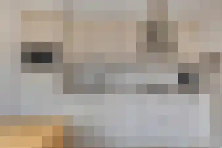 Merellaan 40 Beek en Donk thumbnail 18