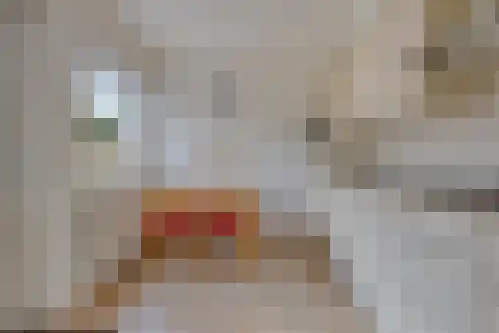 Merellaan 40 Beek en Donk thumbnail 4