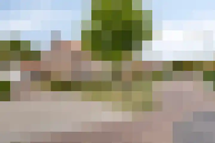 Merellaan 40 Beek en Donk thumbnail 9