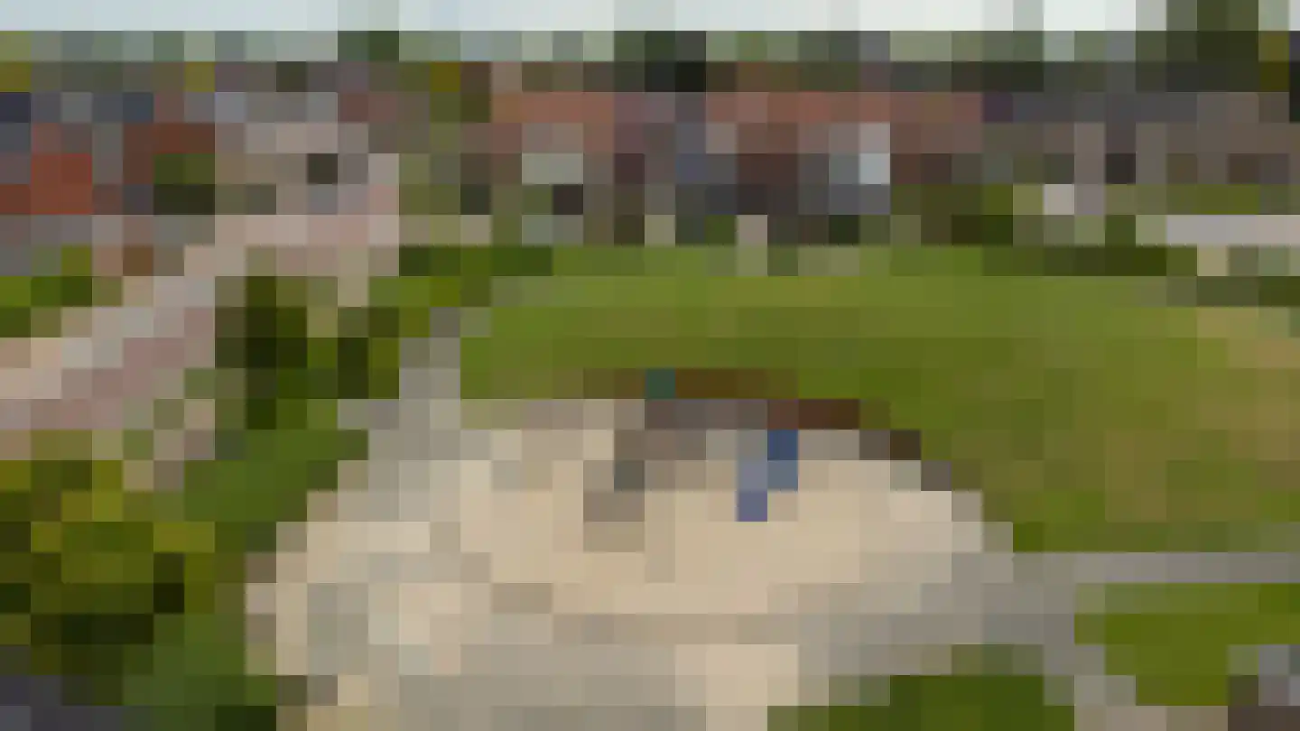 Merellaan 42 Ulft thumbnail 27