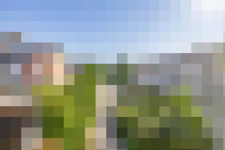 Merellaan 427 Capelle aan den IJssel thumbnail 32