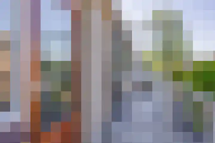 Merellaan 427 Capelle aan den IJssel thumbnail 34