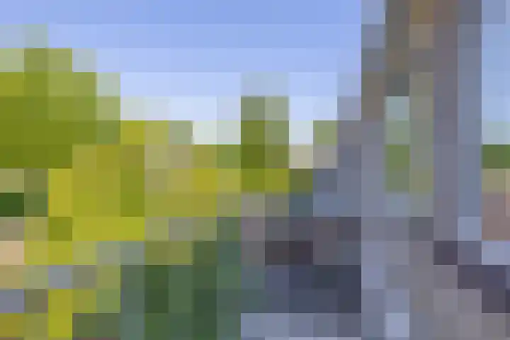 Merellaan 427 Capelle aan den IJssel thumbnail 35
